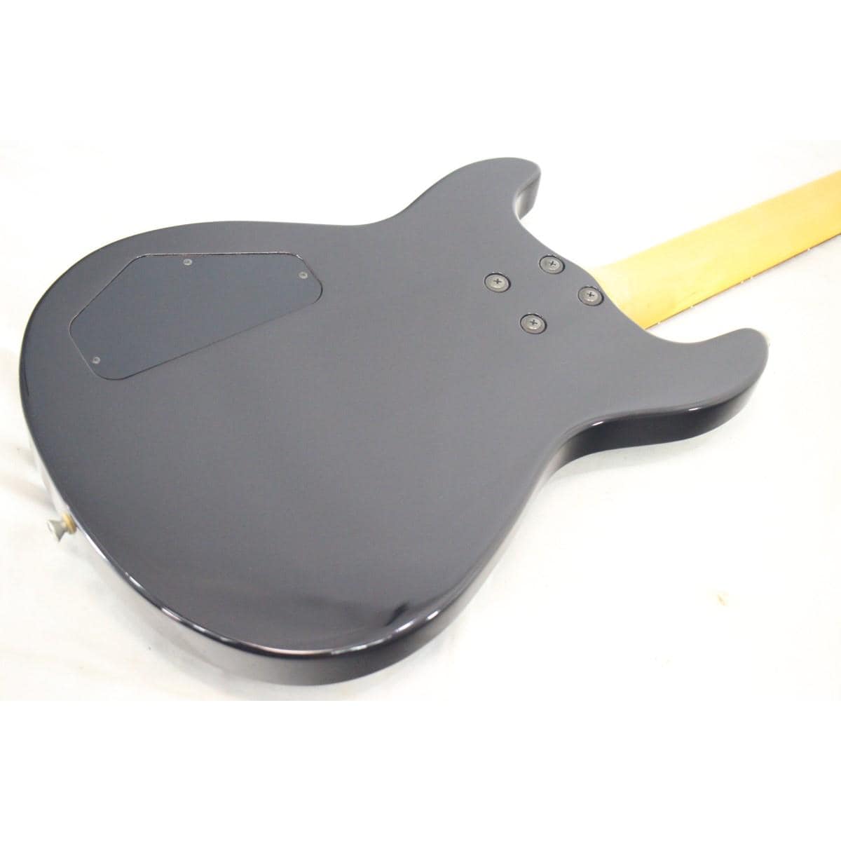FERNANDES APG-95GF