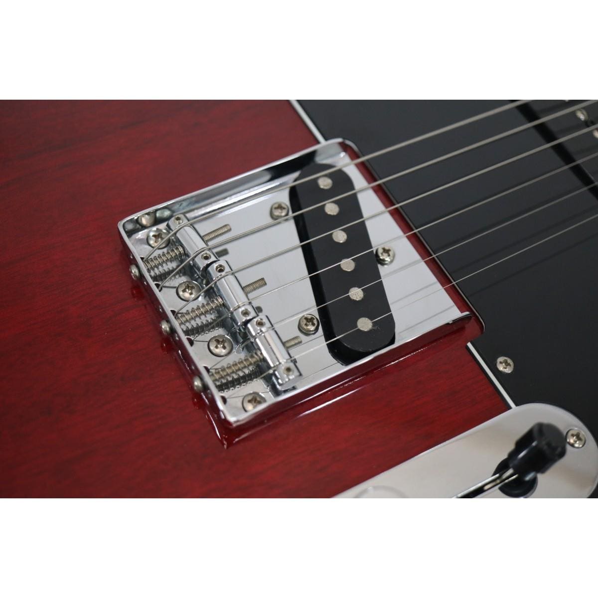 ＢＡＣＣＨＵＳ　　ＴＡＣＴＩＣＳ　ＰＬＤ