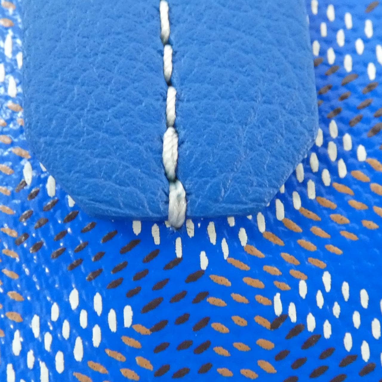 GOYARD Saint Louis PM AMA LOUIS PM Bag