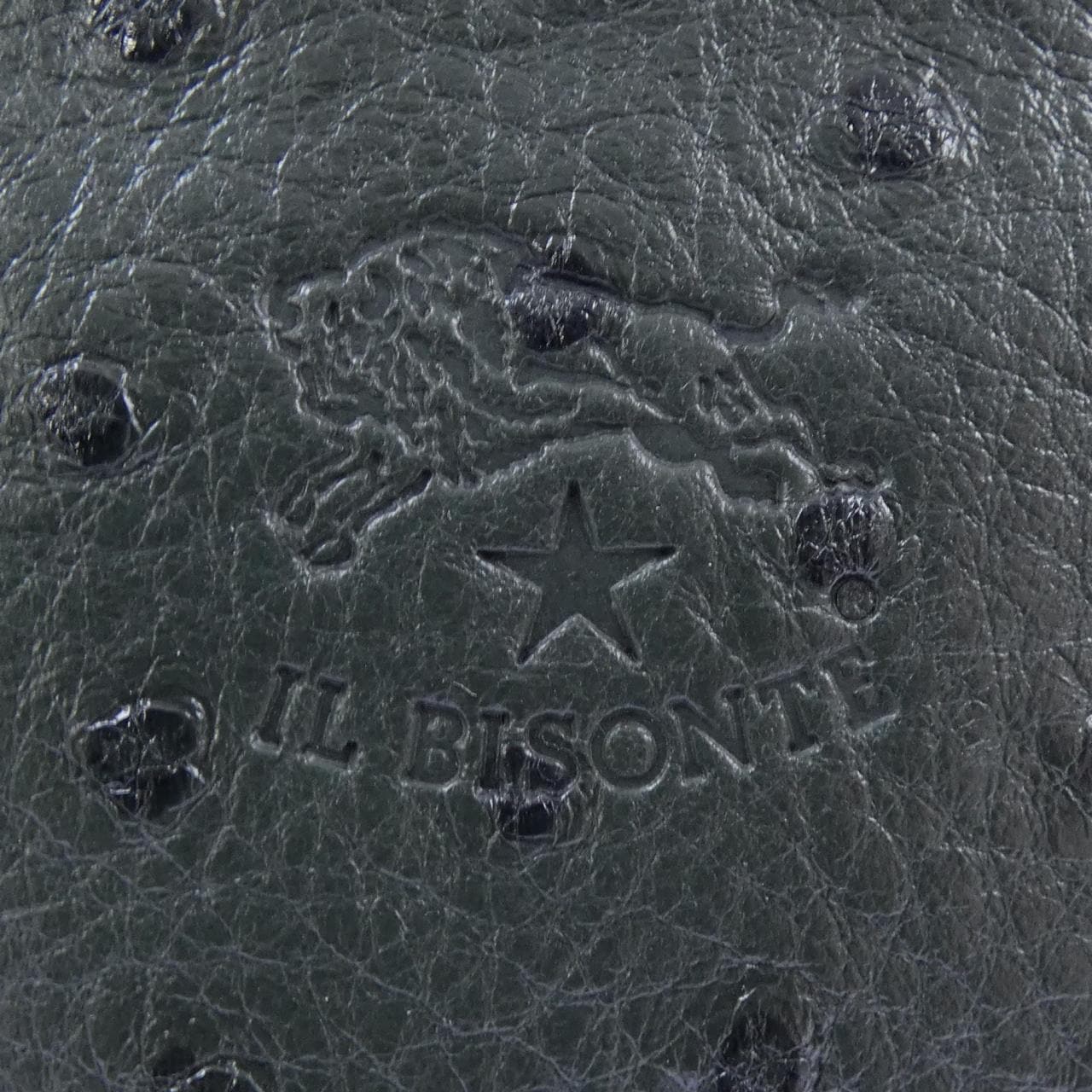 イルビゾンテ IL BISONTE COIN CASE