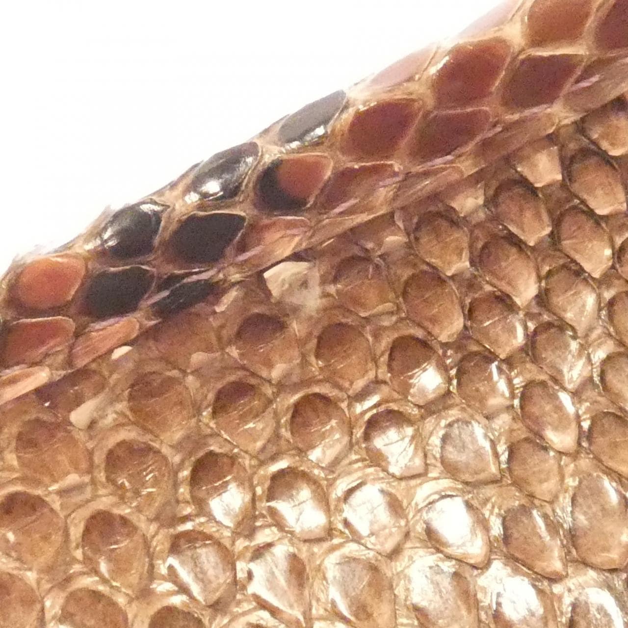 ロエベ アマソナ 28cm E30 96 N03 バッグ