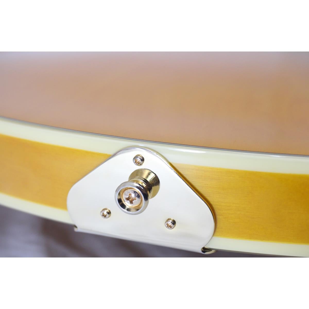 EPIPHONE SHERATON/LH