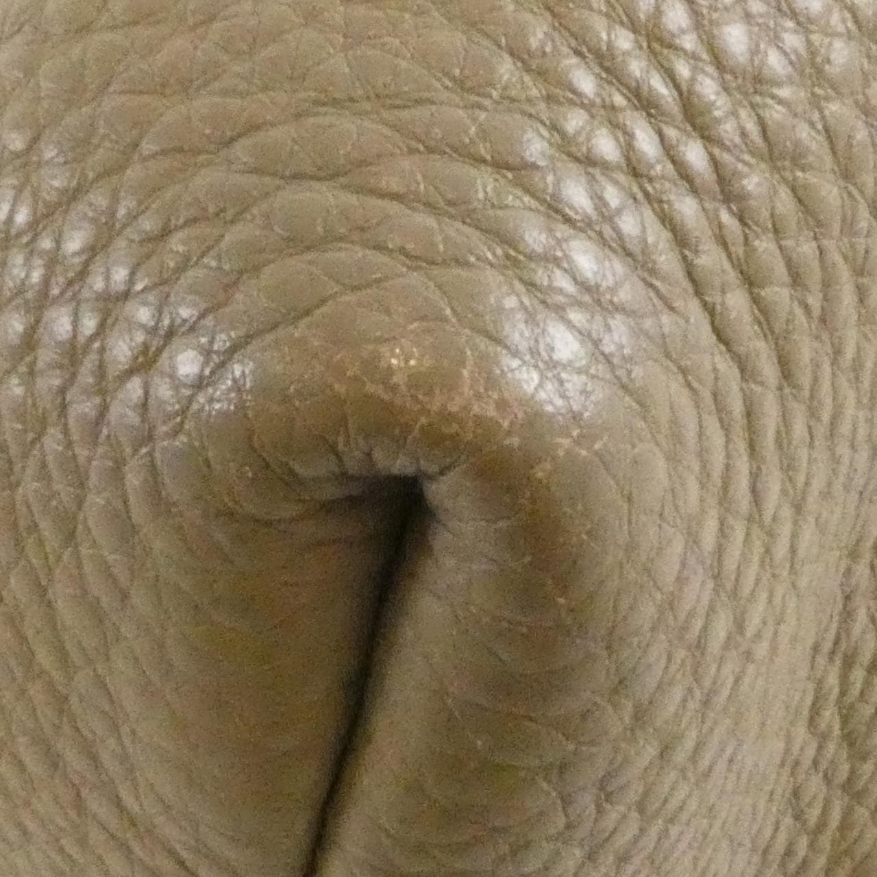 プラダ BN2754 バッグ