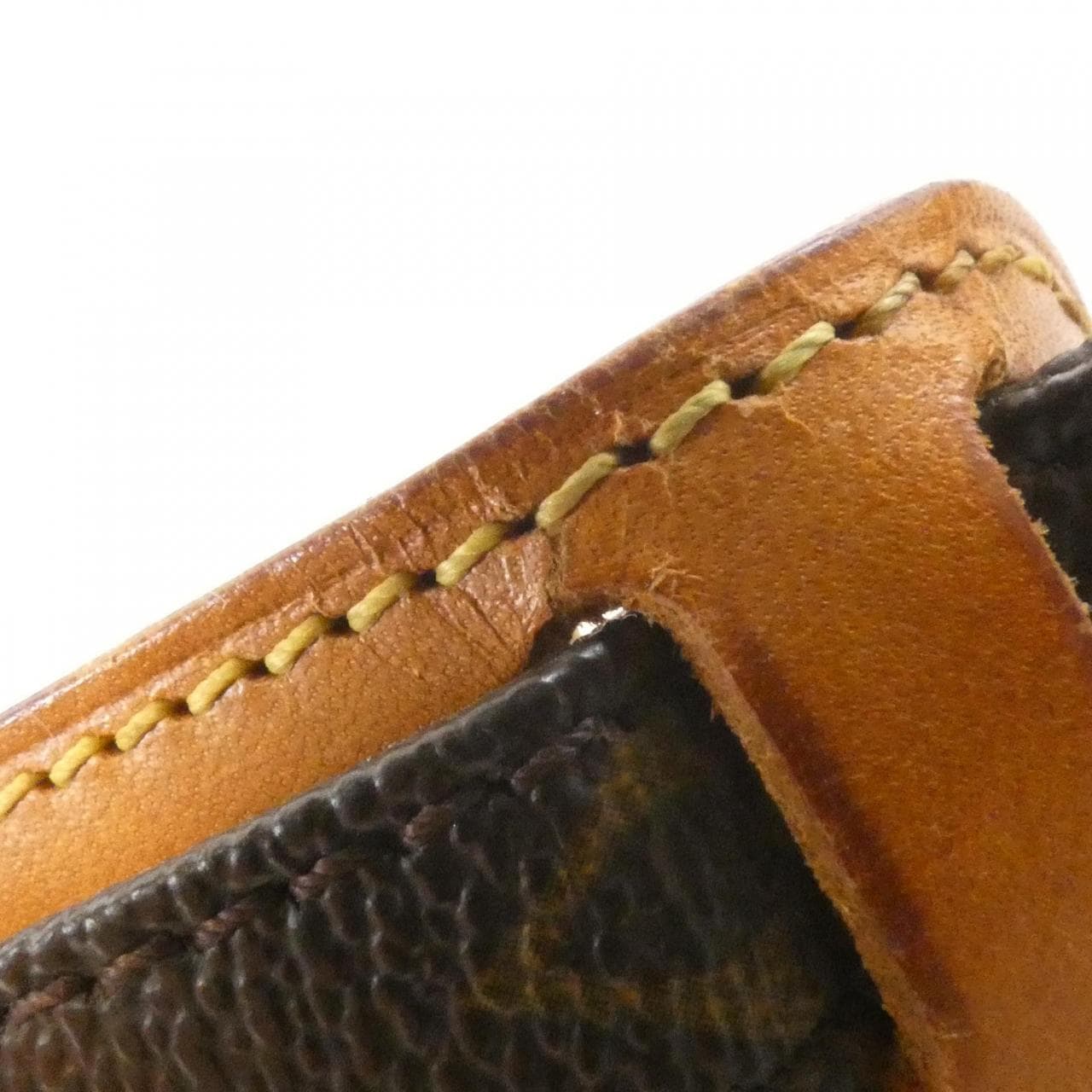 LOUIS VUITTON Monogram Amazon M45236 单肩包