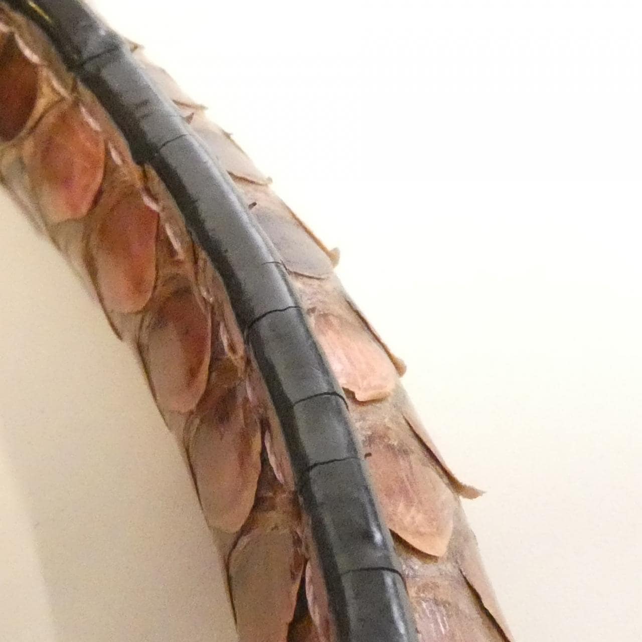 ロエベ アマソナ 28cm E30 96 N03 バッグ