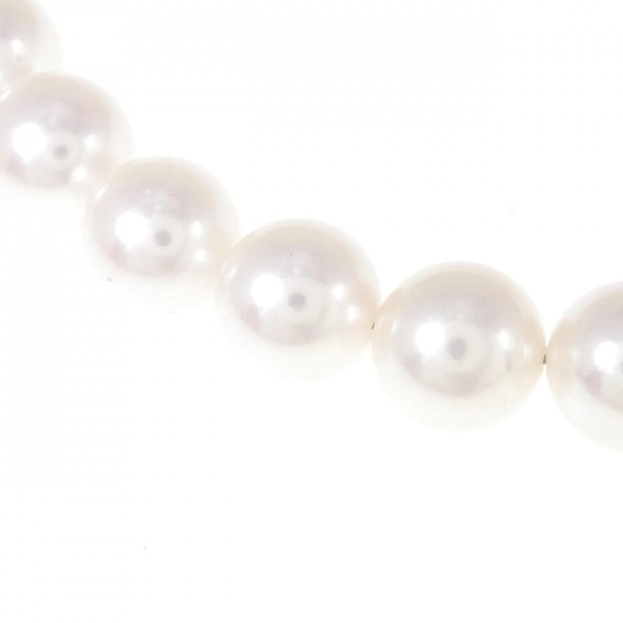 [BRAND NEW] Silver Clasp Akoya Pearl Necklace 7.5-8mm