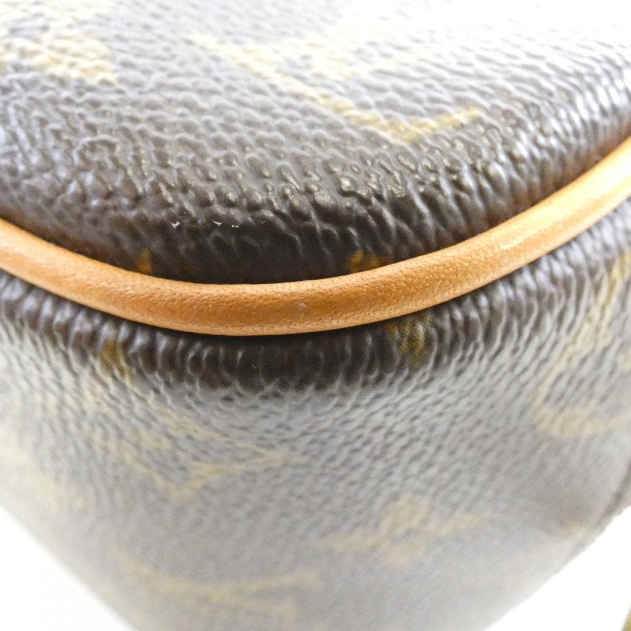 ルイヴィトン モノグラム トゥルーヴィル M42228 バッグ