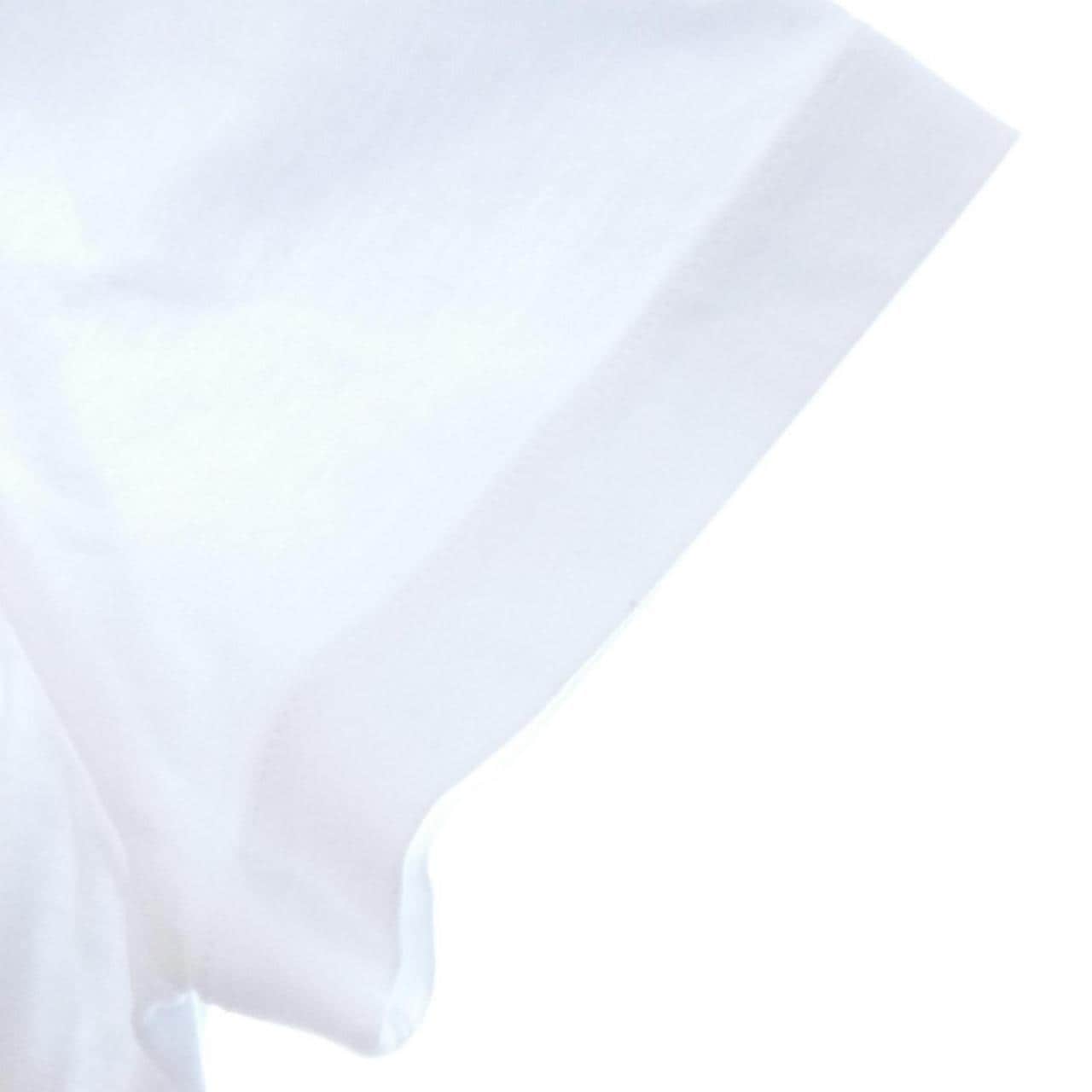 ロロピアーナ Loro Piana FAI5069 Tシャツ