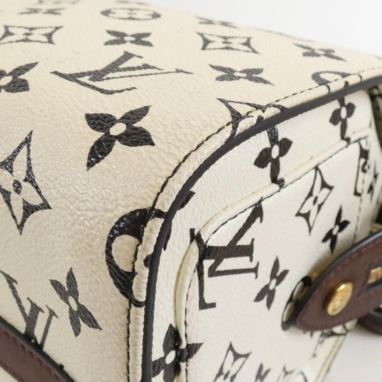 ルイヴィトン モノグラム カラー スピーディ アマゾン M42210 ボストンバッグ