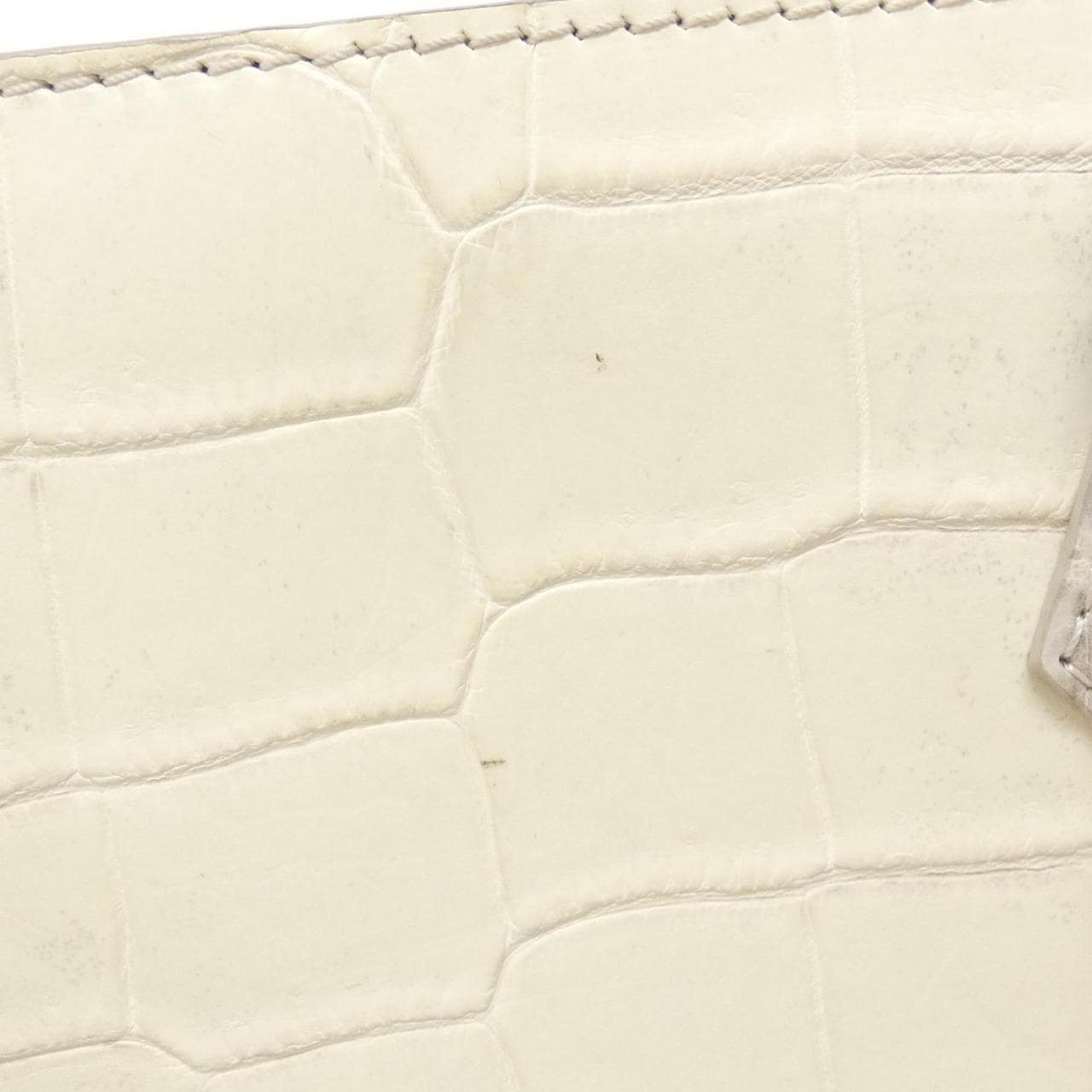 ルイヴィトン エキゾチック レザー サック プラ バッグ