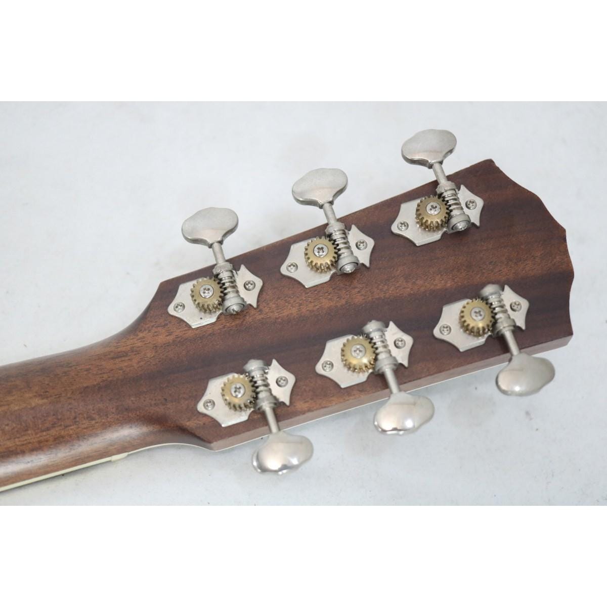 ＦＥＮＤＥＲ　　ＰＭ－１　ＤＲＥＡＤ　ＡＬＬ－ＭＡＨＯ