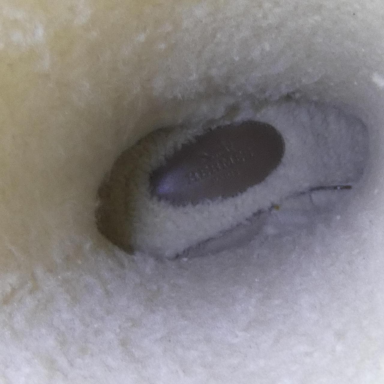 エルメス HERMES フォリー FOLIE 222063Z ブーツ