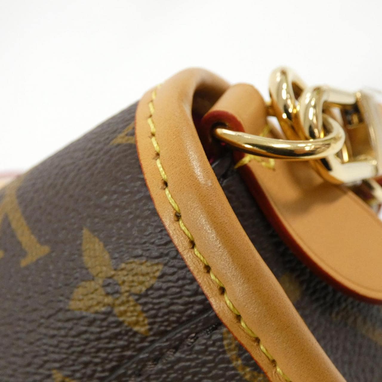 LOUIS VUITTON Monogram Diane PM M46049 单肩包