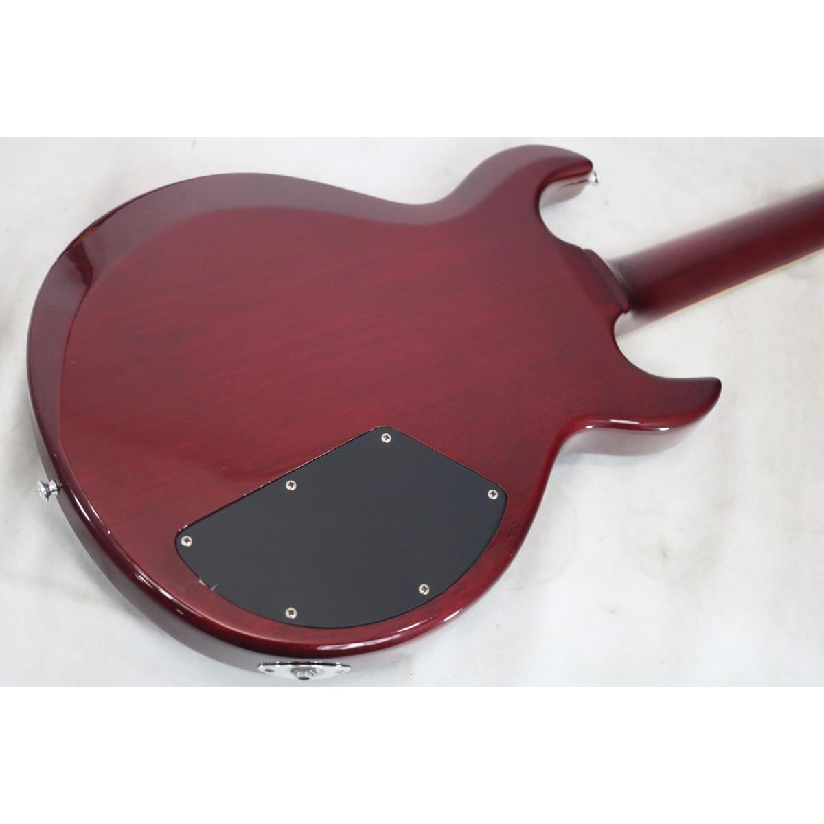 ＳＣＨＥＣＴＥＲ　　ＺＶ　ＣＵＳＴＯＭ　ＲＥＩＳＳＵＥ　ＬＨ