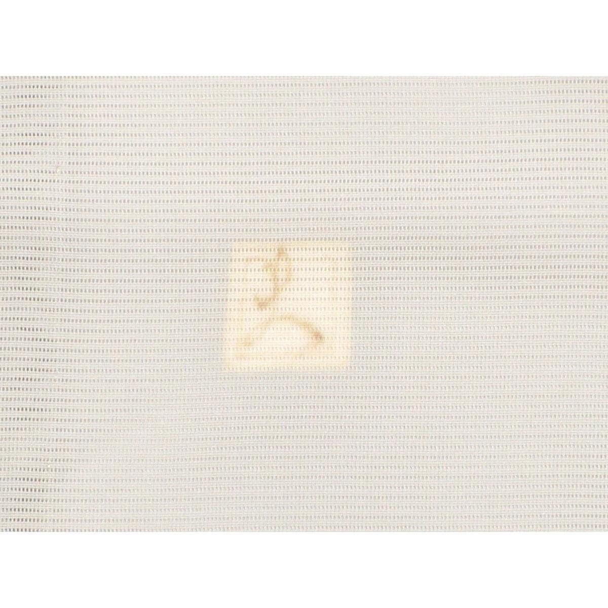 単衣　駒絽訪問着　吉本大輔【本加賀友禅】