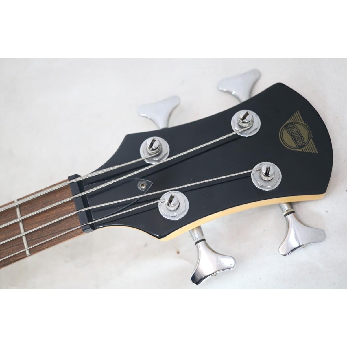 ＰＩＧＮＯＳＥ ＰＧＢ－２００