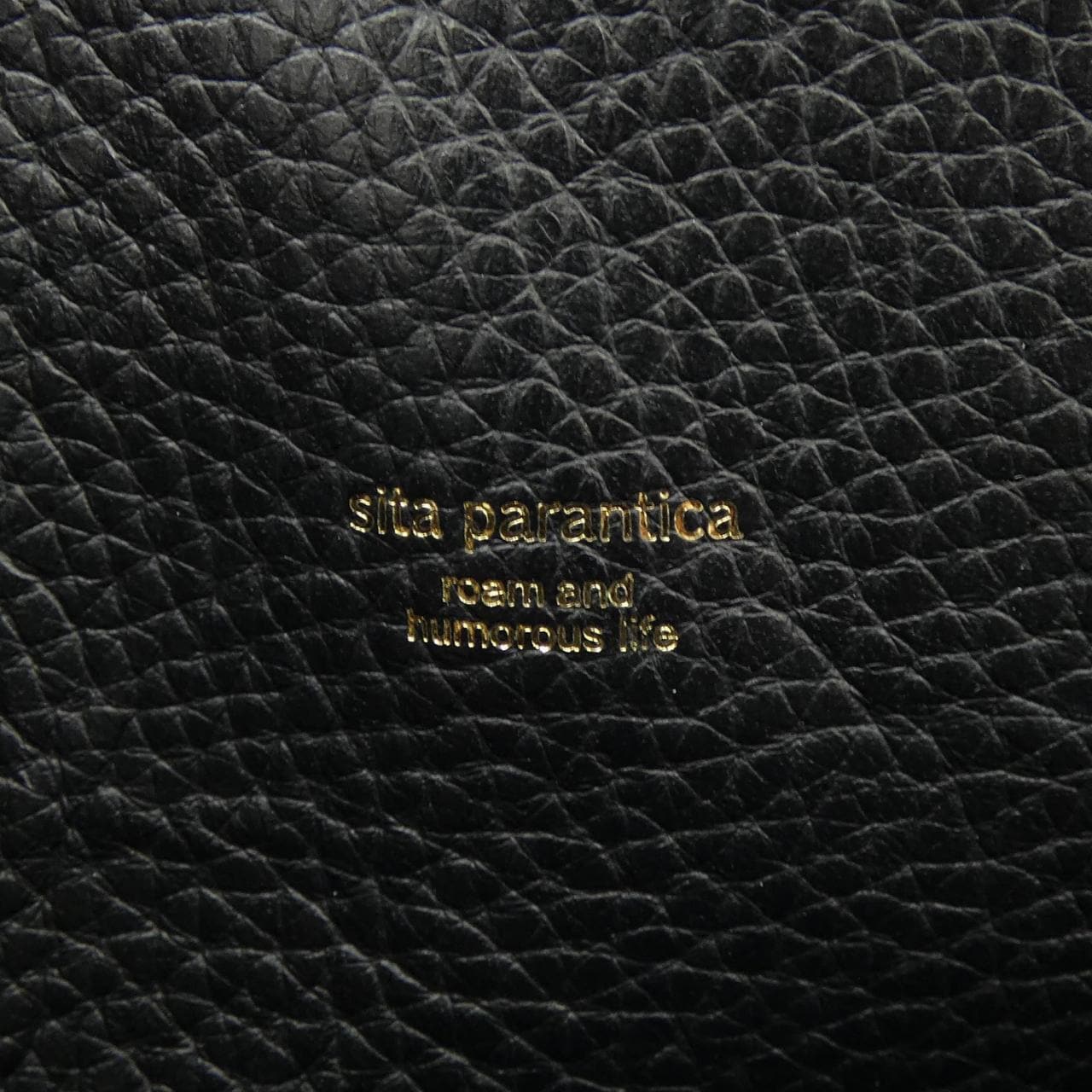 シータパランティカ sita parantica BAG