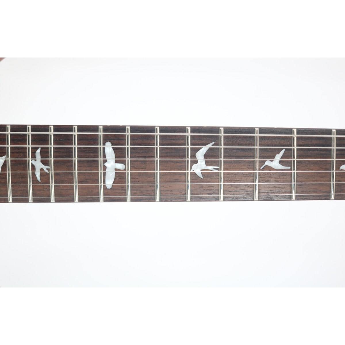 ＰＡＵＬ　ＲＥＥＤ　ＳＭＩＴＨ　　ＣＵＳＴＯＭ　２２　ＳＥＭＩ　ＨＯＬＬＯＷ