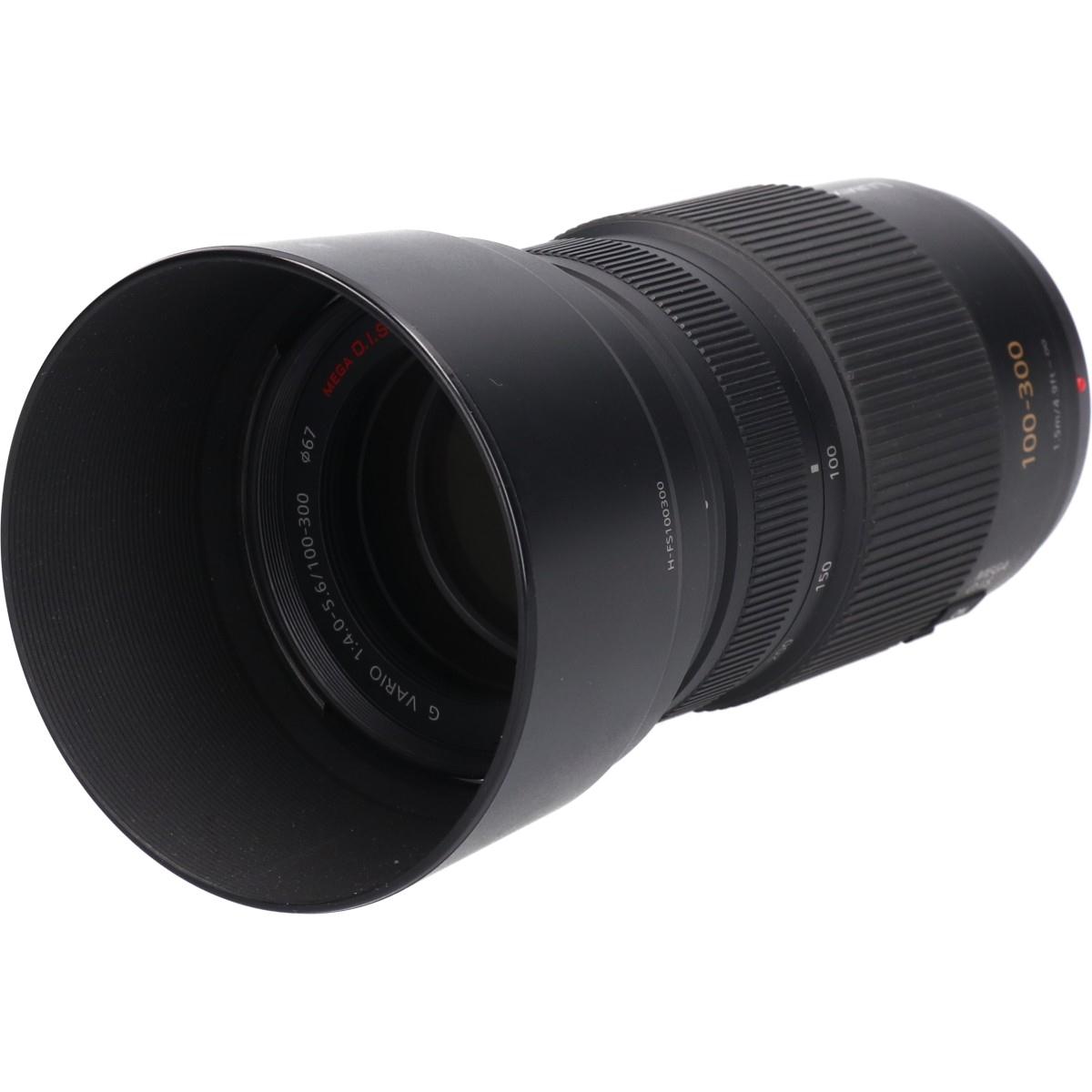 G100-300mm F4-5.6MEG OIS