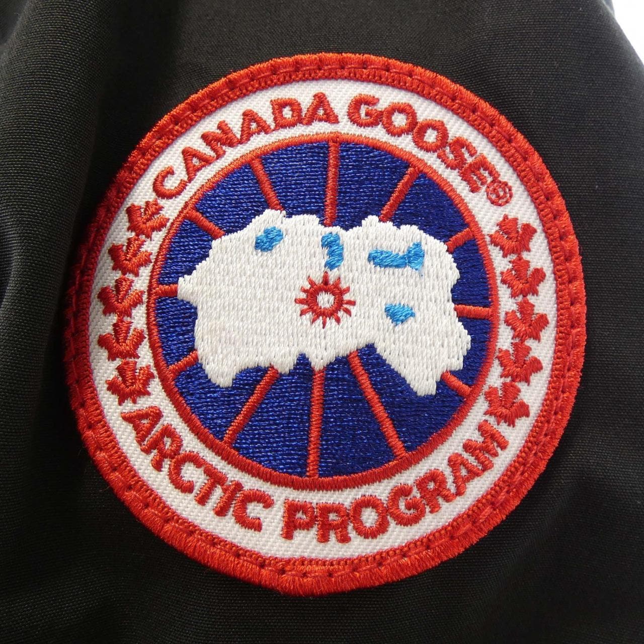 Canada goose CANADA GOOSE down jacket