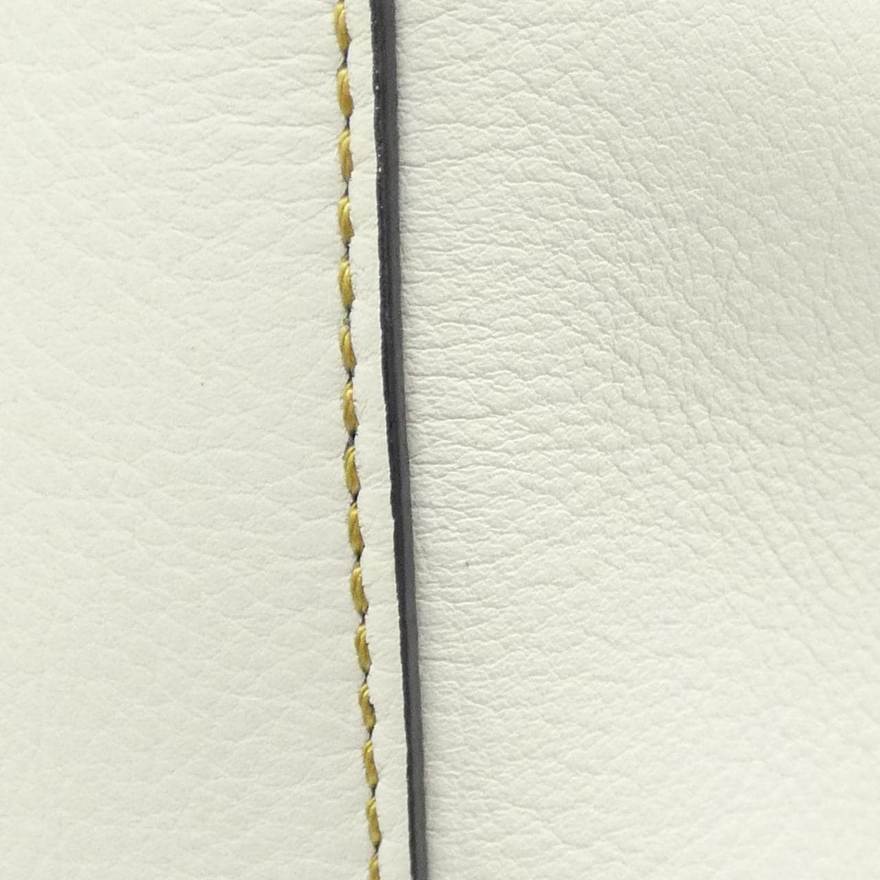 ロエベ PAZZUL SMALL A510S21X55 バッグ