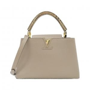 ルイヴィトン エキゾチックレザー カプシーヌ MM N92802 バッグ