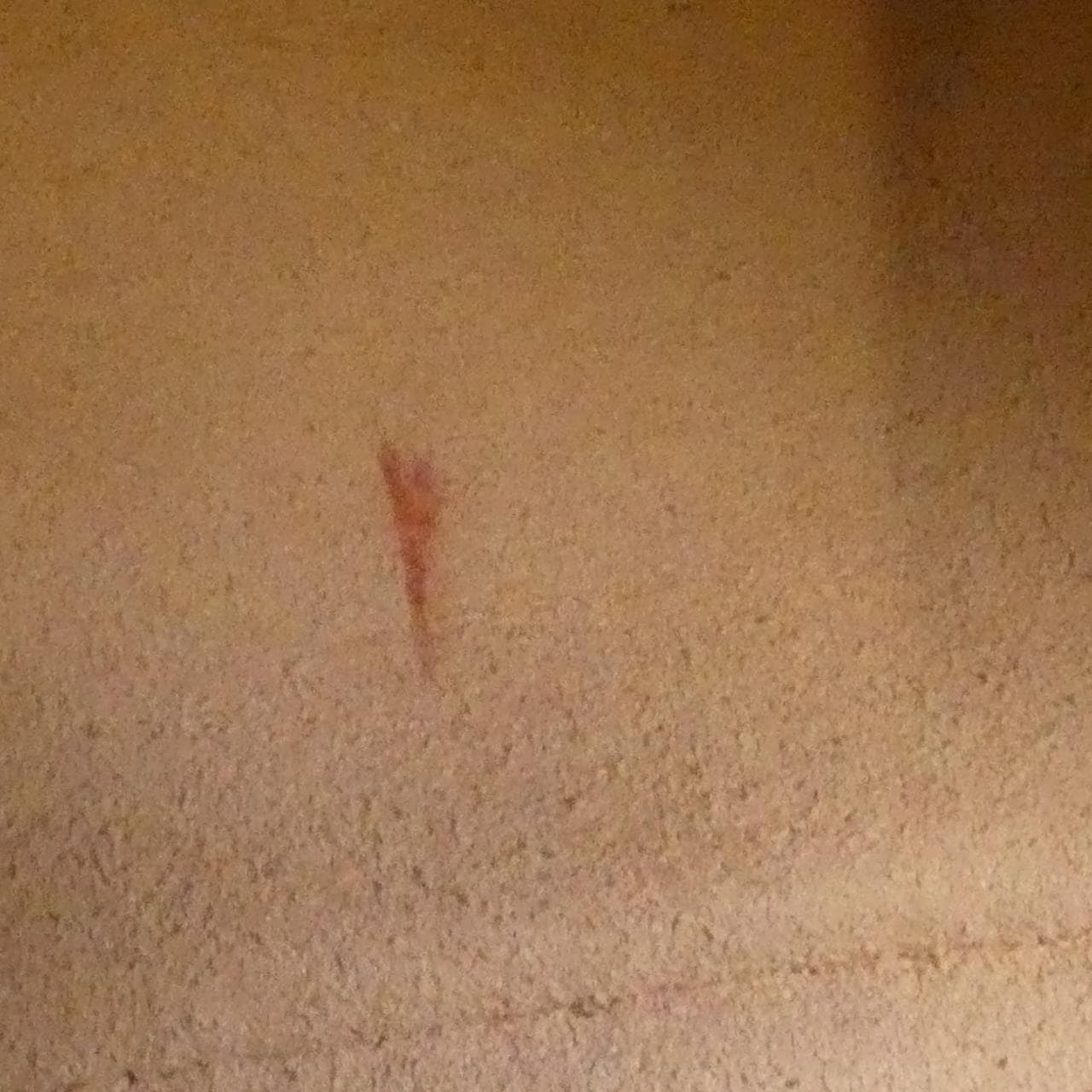 グッチ GG MARMONT 447632 DTD1Y ショルダーバッグ