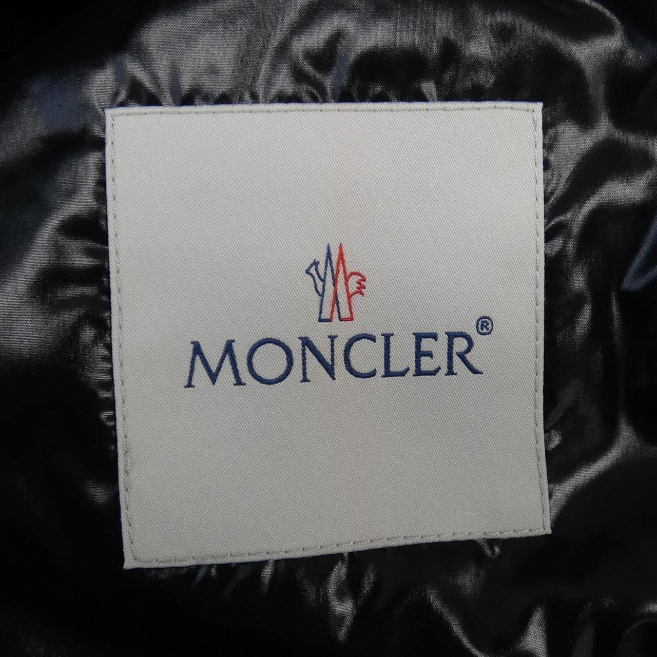 MONCLER Genius Down Jacket