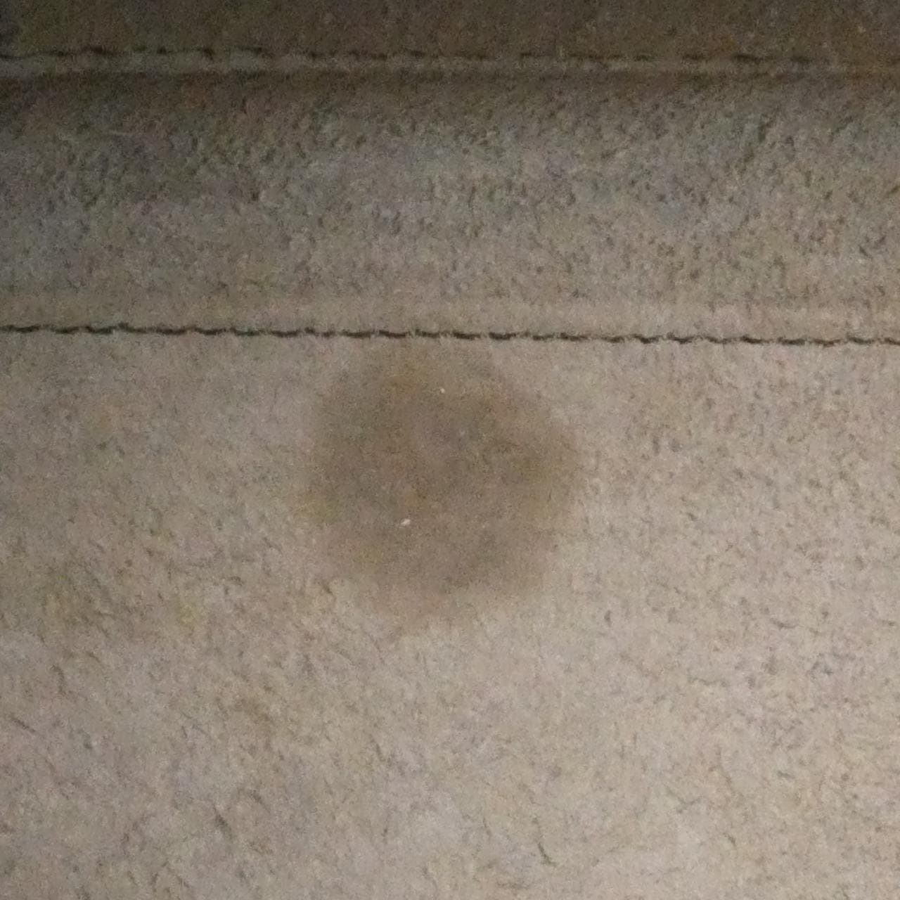 セリーヌ ラゲージ ナノ ショッパー 189243DRU バッグ