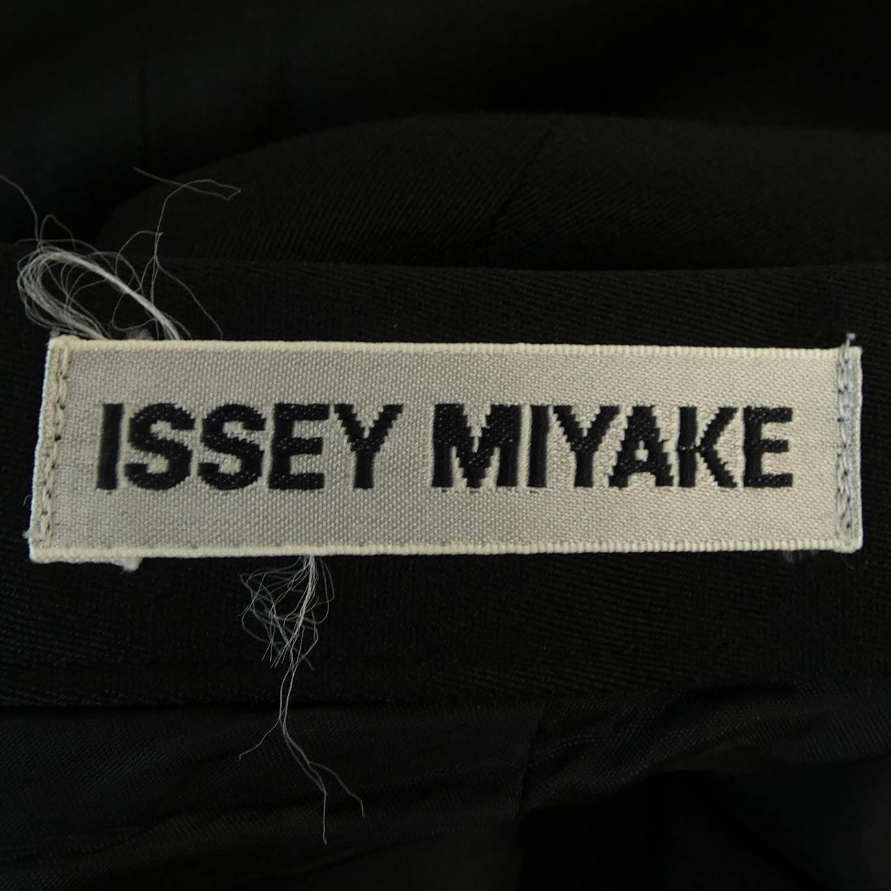 イッセイミヤケ ISSEY MIYAKE IM04FG099 スカート