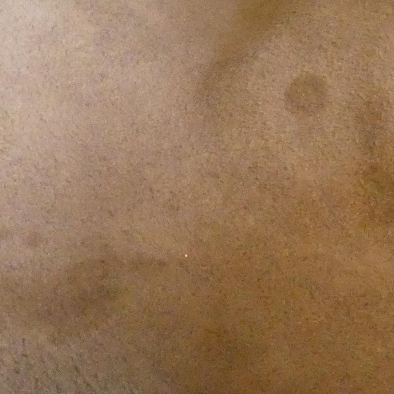 ボッテガヴェネタ バッグ