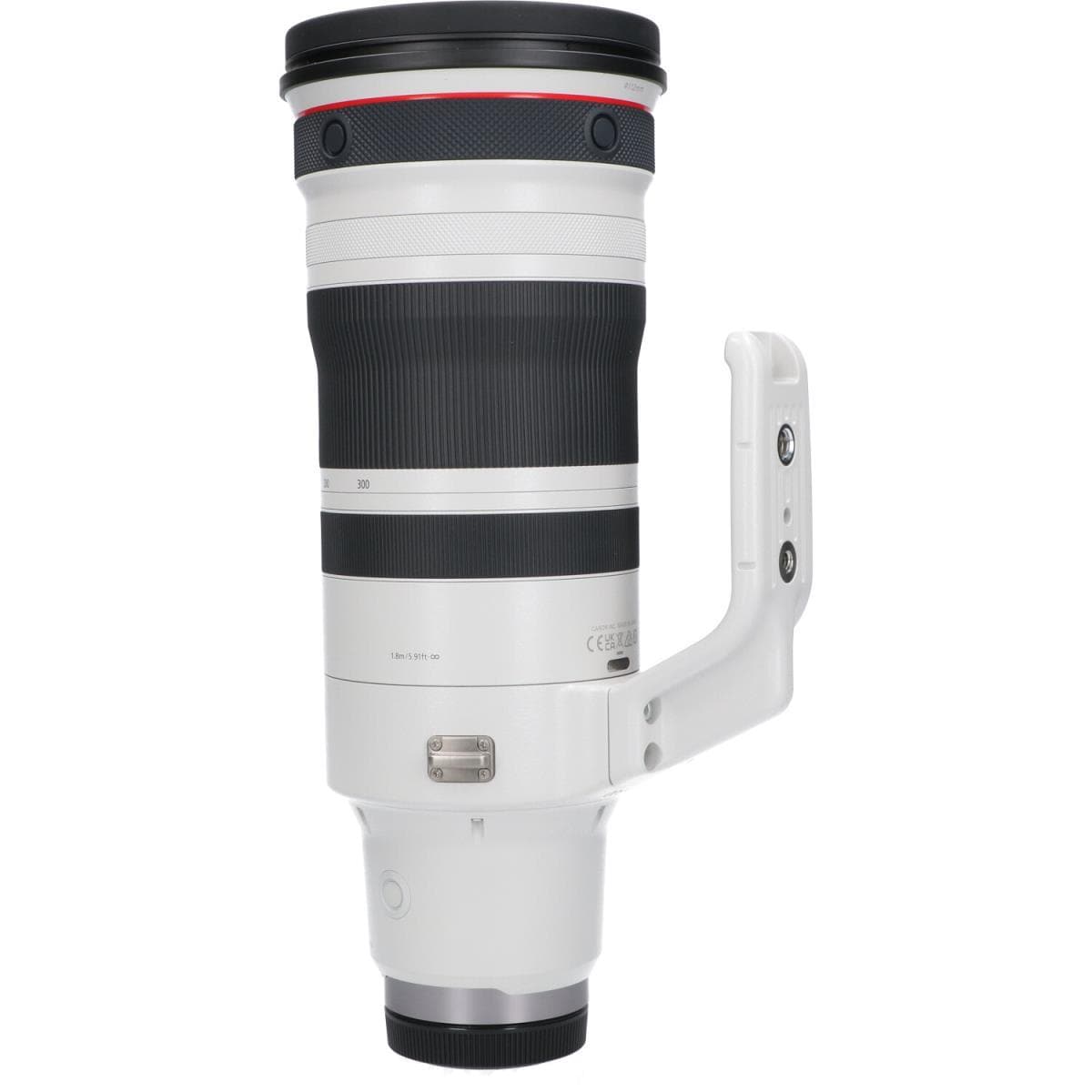 CANON RF100-300mm F2.8L IS USM