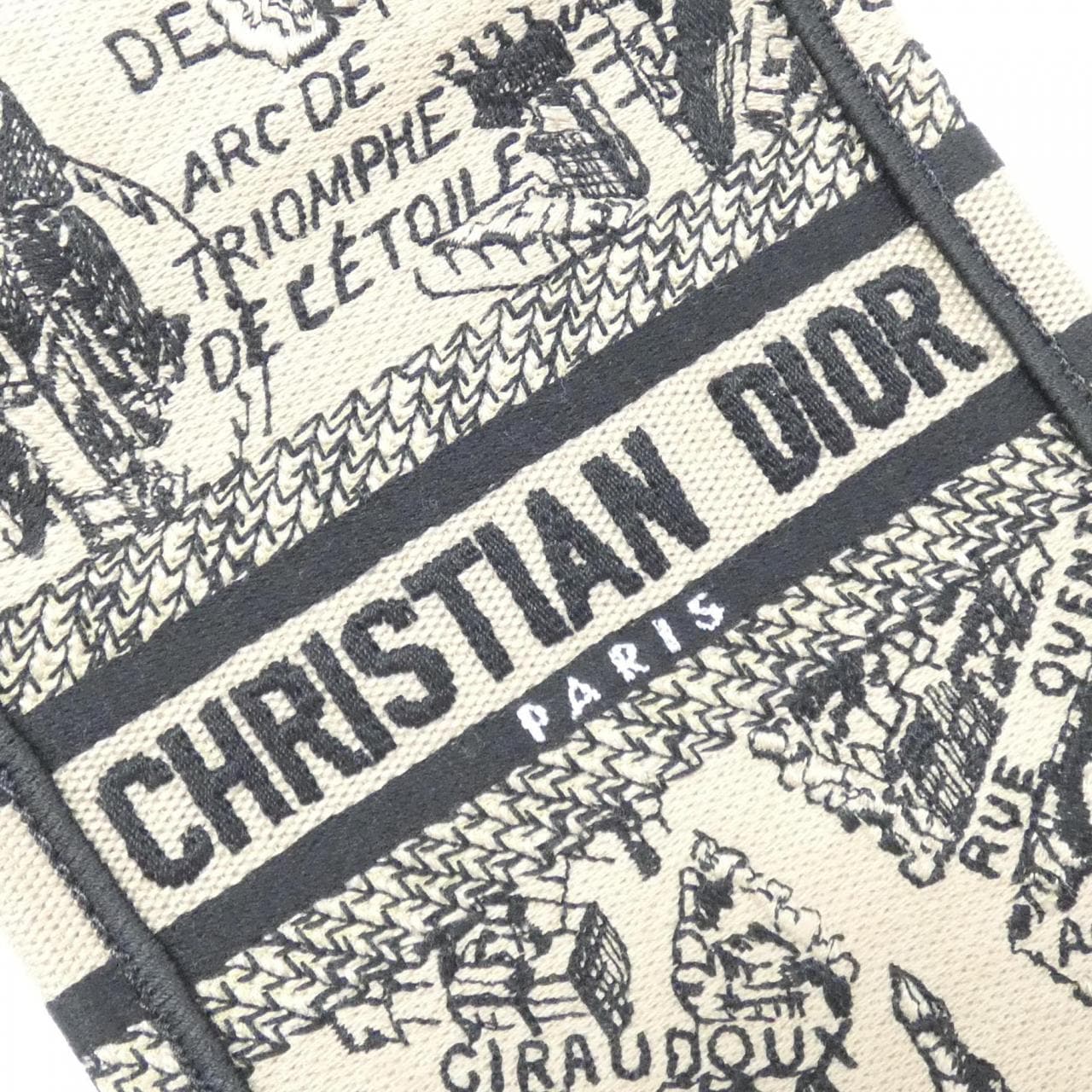 Christian DIOR Plan de Paris DIOR Book Tote Mini Vertical Bag S5555COMP Bag