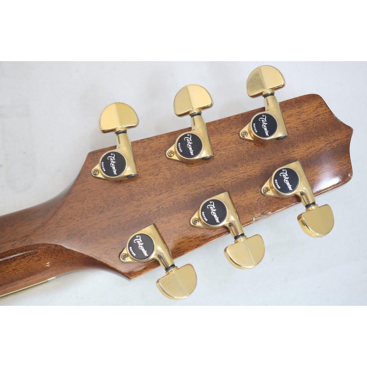 ＴＡＫＡＭＩＮＥ　ＰＴＵ－２１０