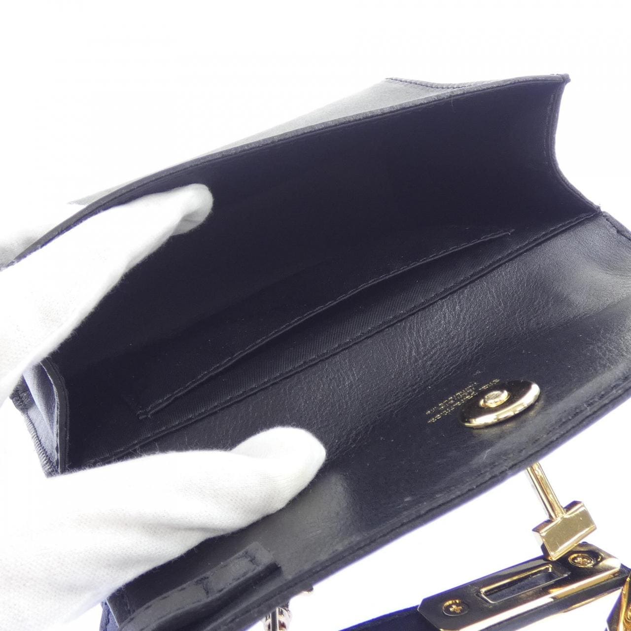 シータパランティカ sita parantica BAG