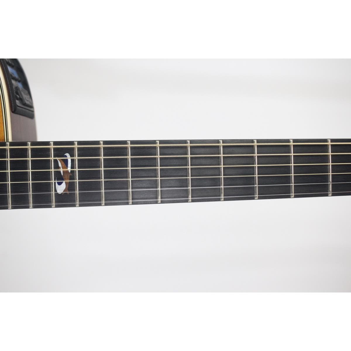 TAKAMINE LTD 2001 DOLPHIN