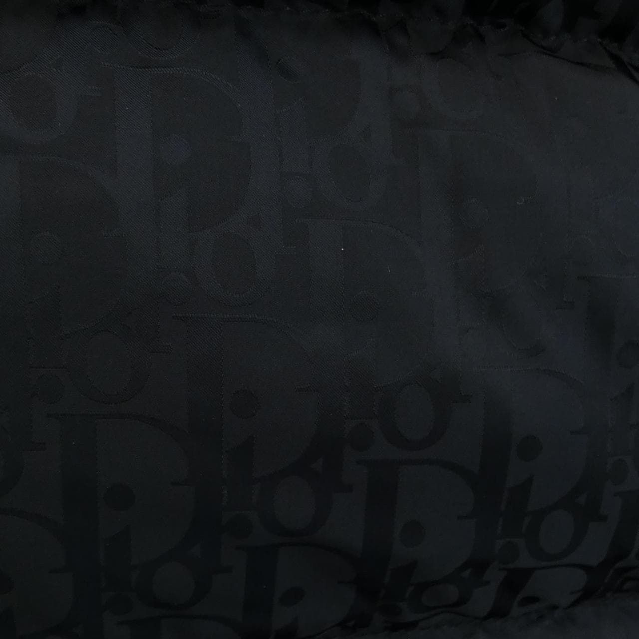 DIOR down jacket