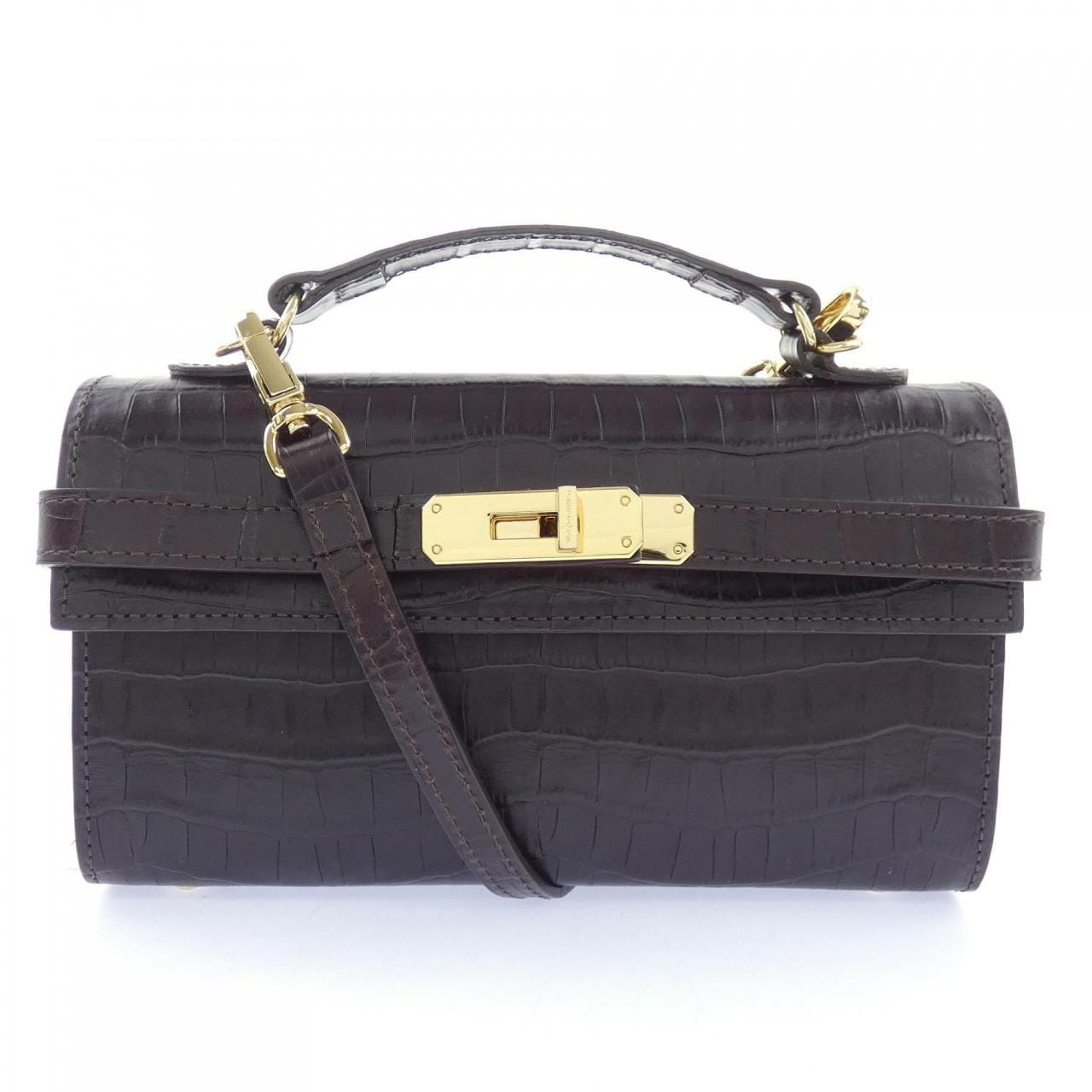 シータパランティカ sita parantica BAG