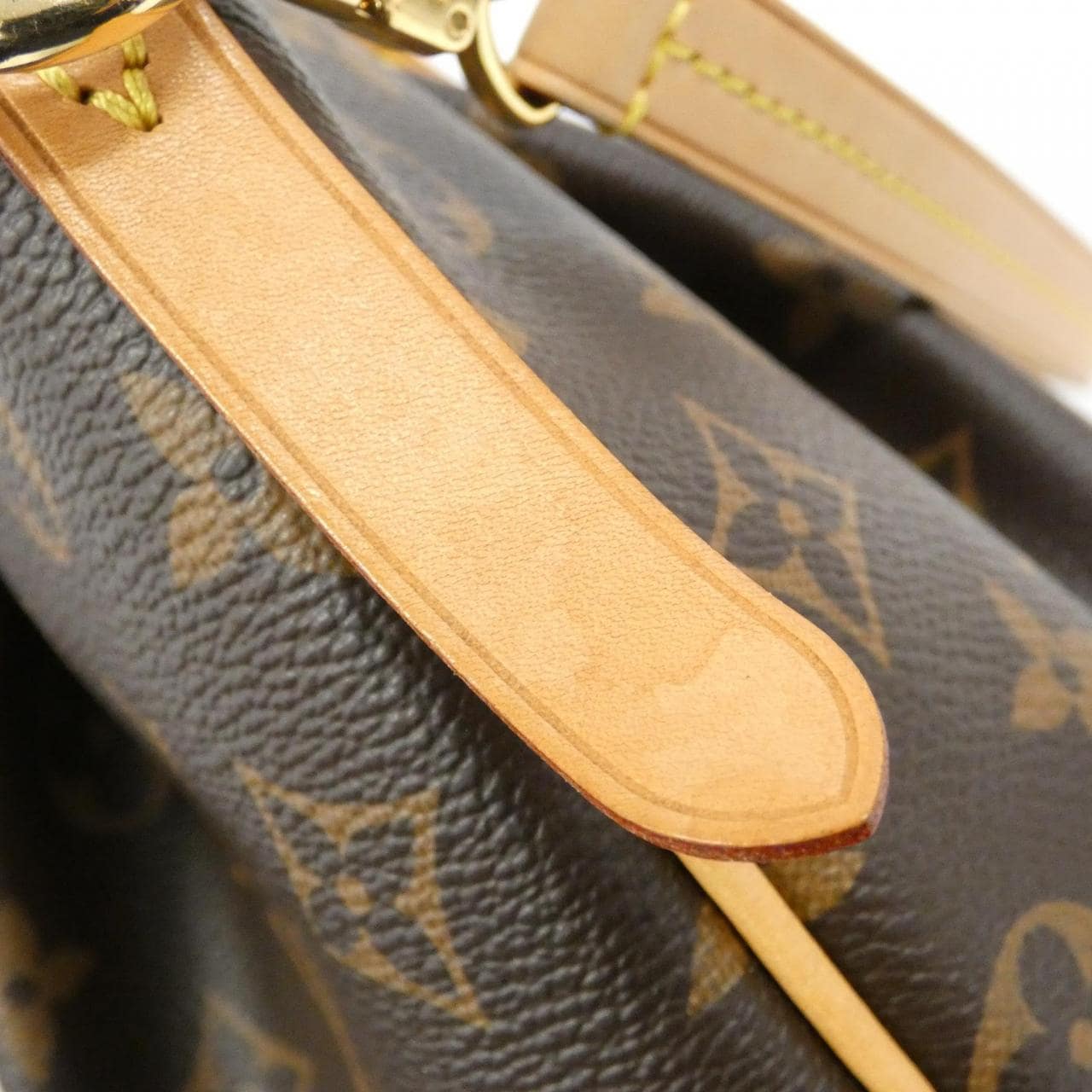 LOUIS VUITTON Monogram Turen PM M48813 包