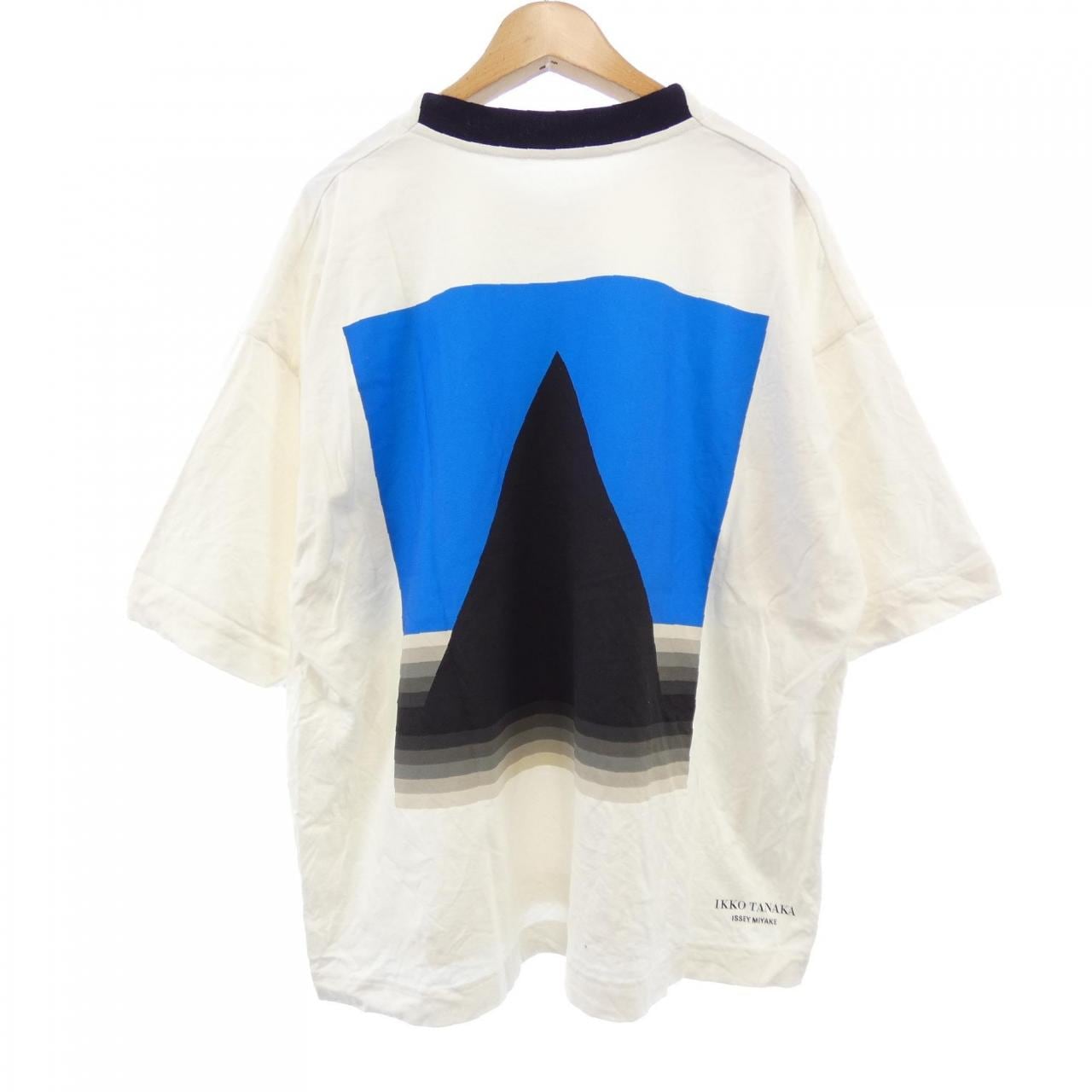 イッセイミヤケ ISSEY MIYAKE RT31JK341 Tシャツ