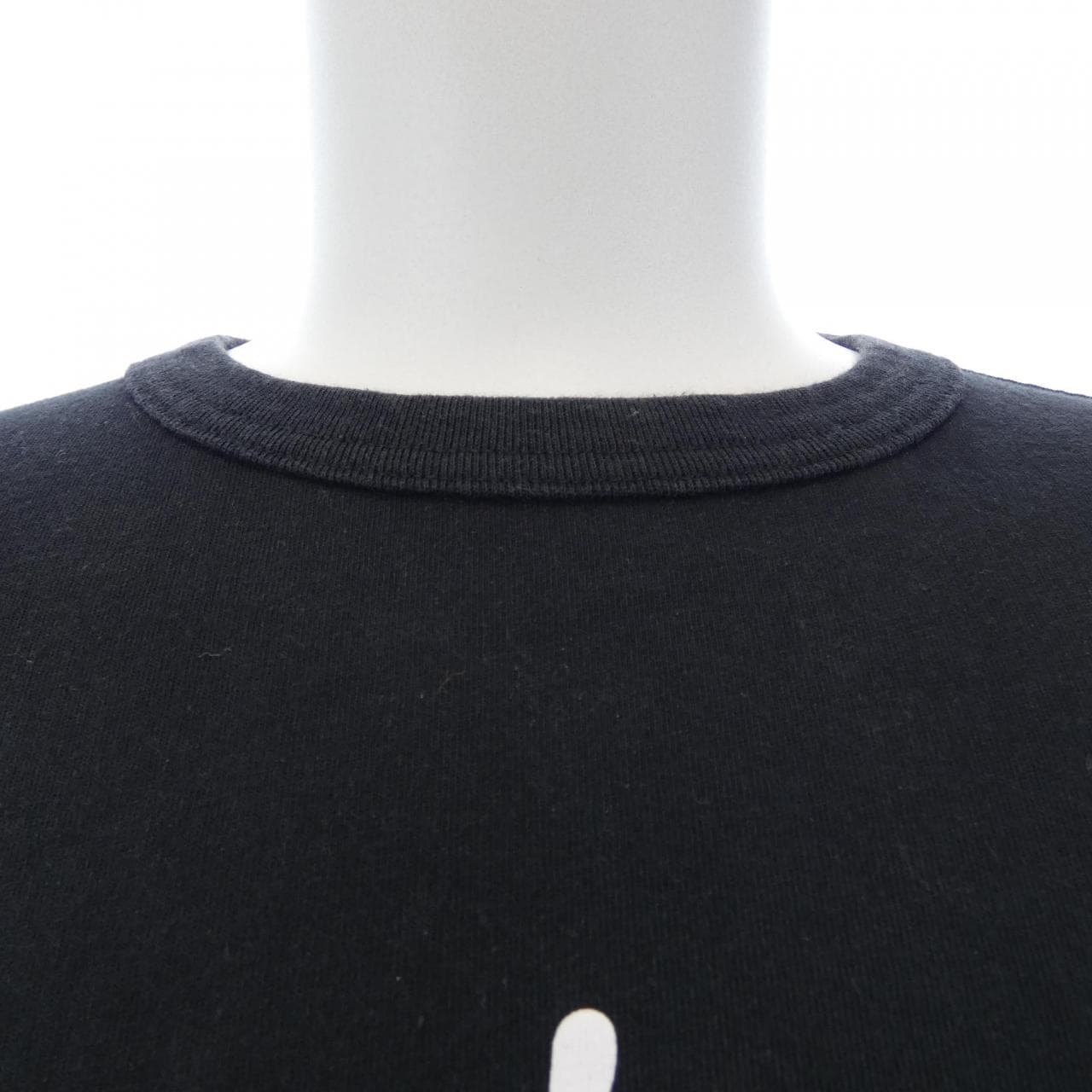 ステューシー STUSSY CHAMPION Tシャツ