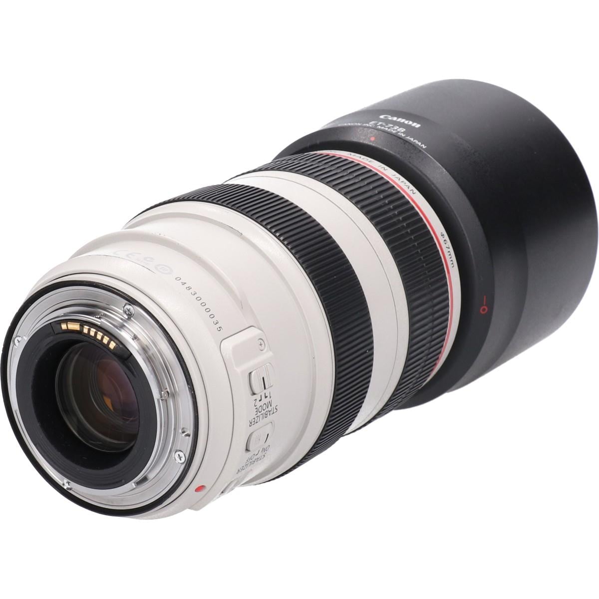 EF70-300mm F4-5.6L IS USM