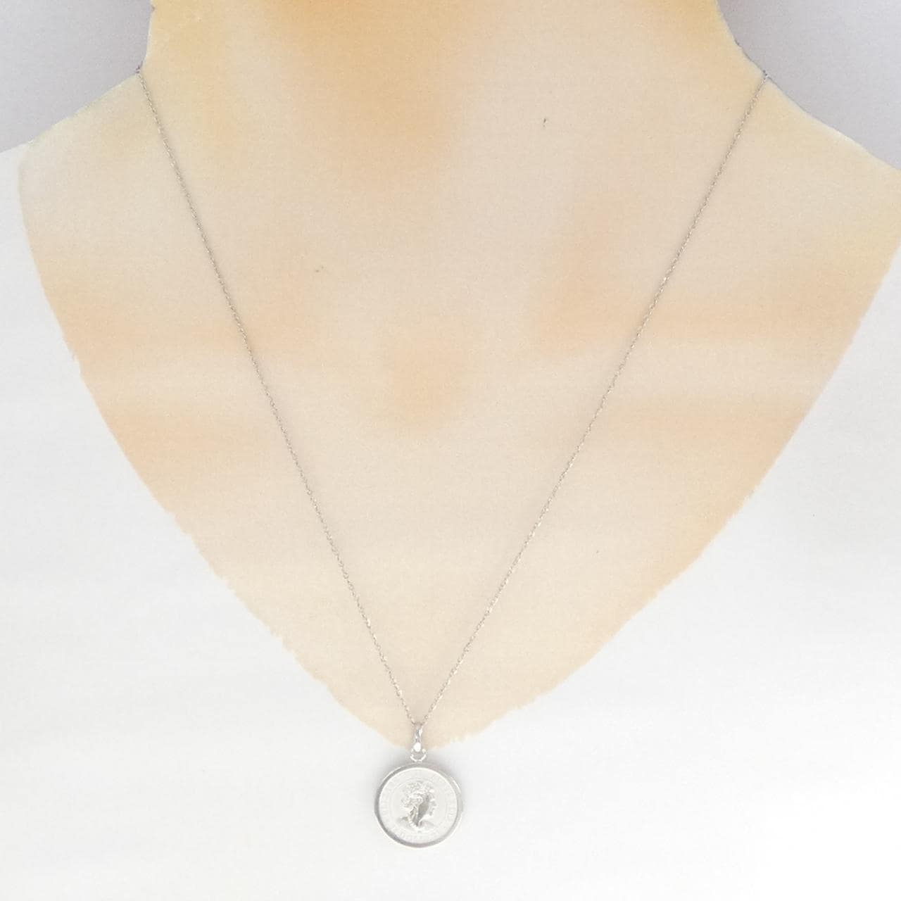 PT850(枠) コイン ネックレス