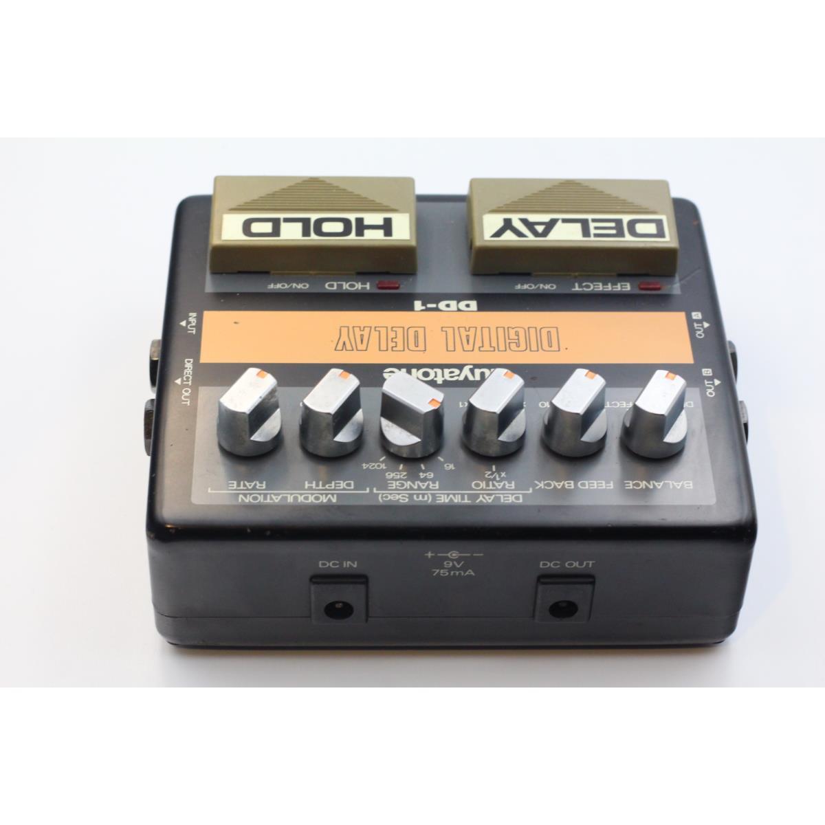 ＧＵＹＡＴＯＮＥ　　ＤＤ－１