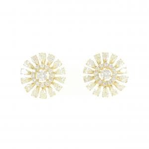 Diamond earrings/earrings