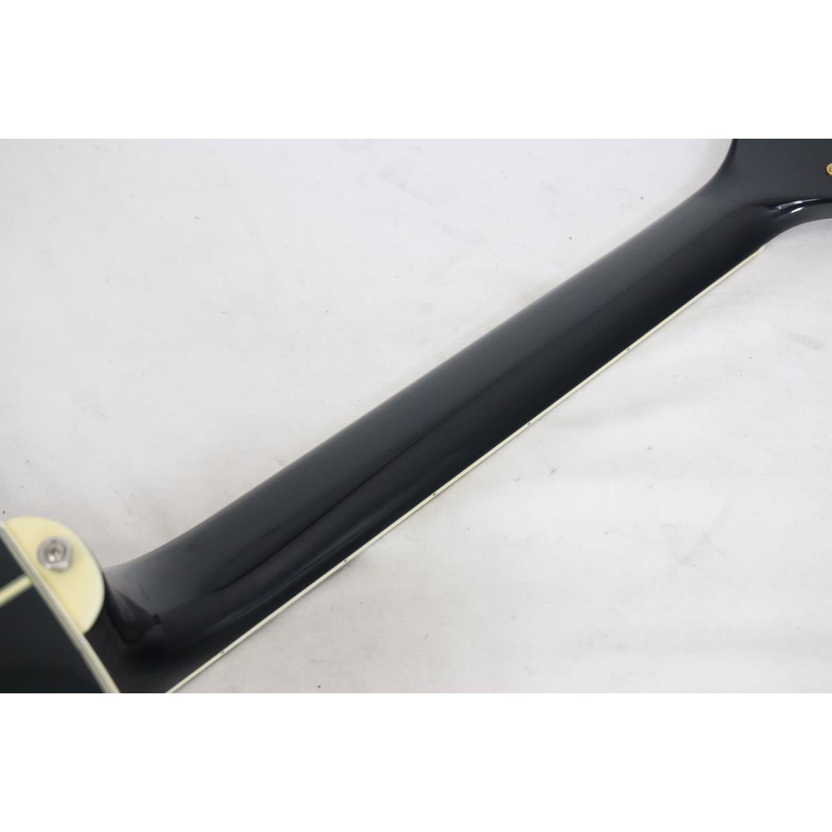 TAKAMINE NPT-110