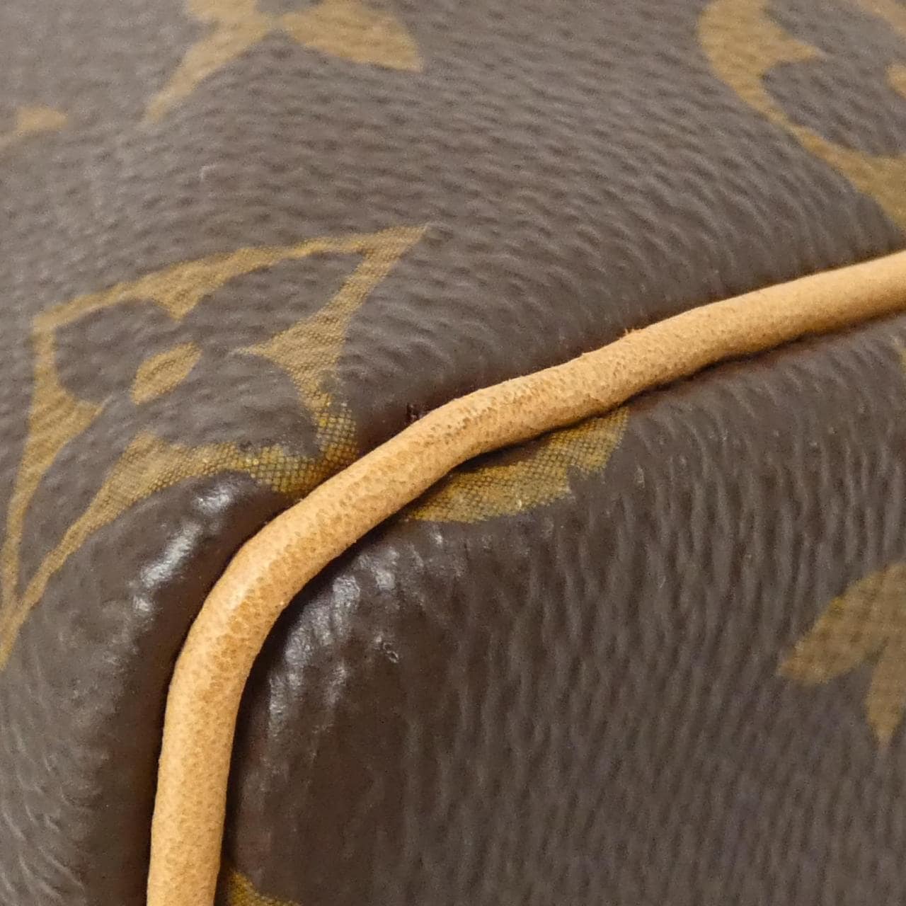 LOUIS VUITTON Monogram Speedy 25cm M41109 Boston Bag