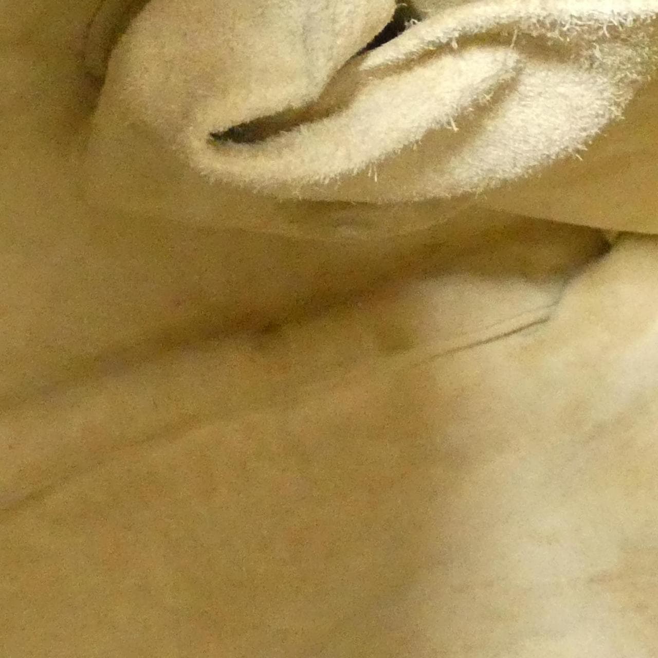 ボッテガヴェネタ 115654 VL100 ショルダーバッグ