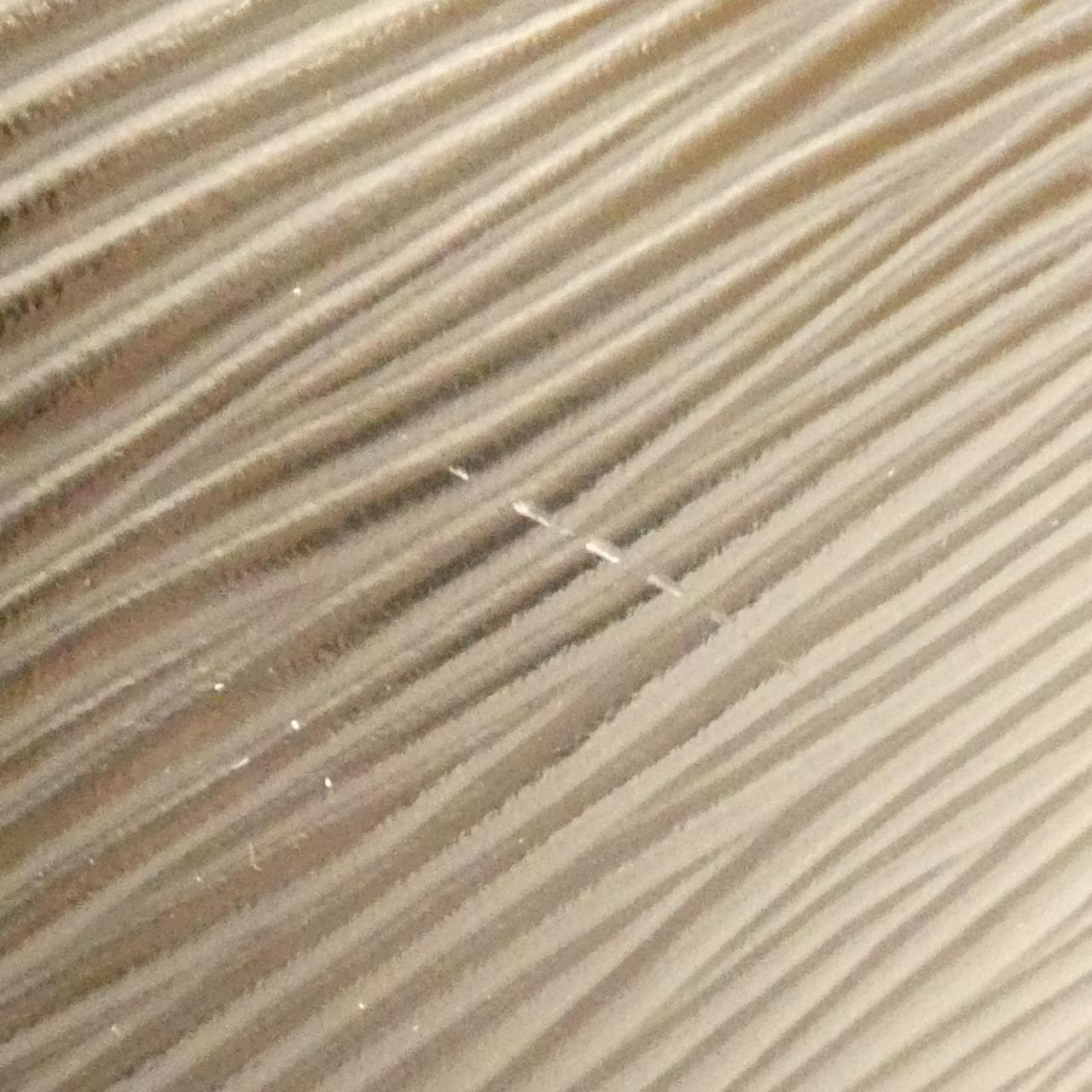 ルイヴィトン エピ アルマ PM M52142+J00272 バッグ