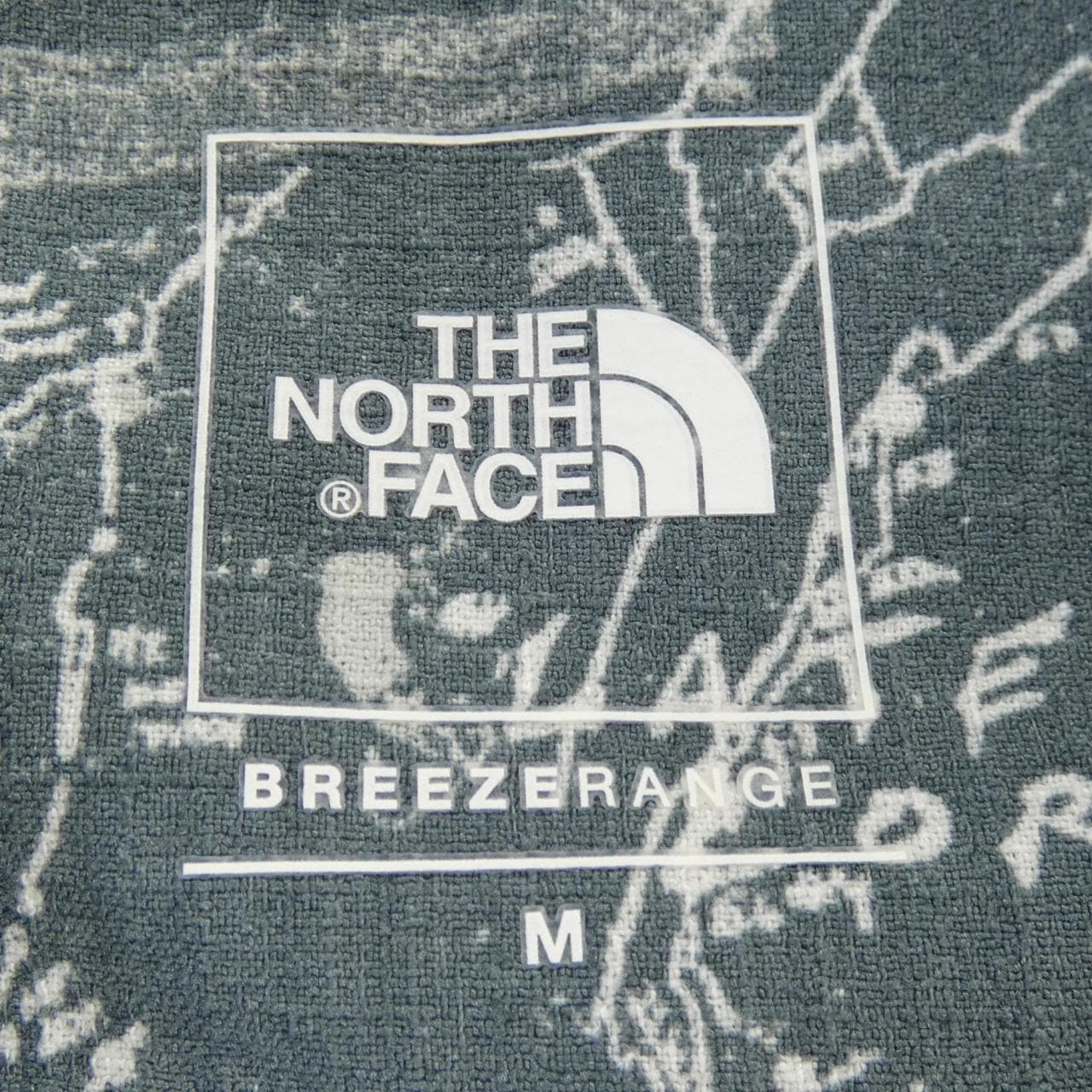 ザノースフェイス THE NORTH FACE NR22631 S／Sシャツ